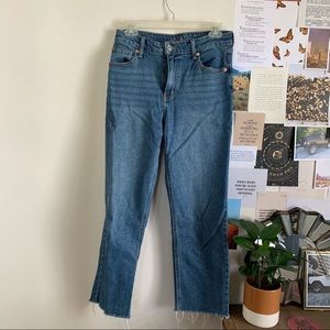 Wild Fable Straight Cropped Jeans